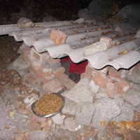 photo de livraison pour Pro Animals Finland ry