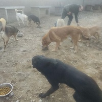 photo de livraison pour Svetlana Bjelogrlic