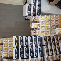 photo de livraison pour Les Félins Concitoyens de Saint Eliph