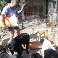 photo de livraison pour Europe4strays