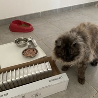 photo de livraison pour Les Chats de Condom 32