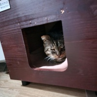 photo de livraison pour Les Coups Fourrés - ACF