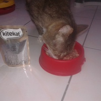 photo de livraison pour Arche de Véra