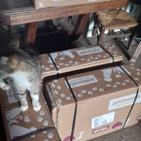 photo de livraison pour La Bleue