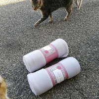 photo de livraison pour Chat L'Heureux Chat l'Ange et Cie