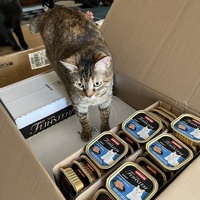 photo de livraison pour Association C.A.T.S. Chat Animal Terrien Solidarité