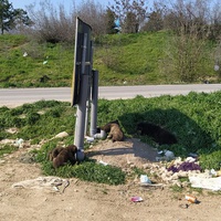 photo de livraison pour Civic Initiative Kane Korzo Skopje