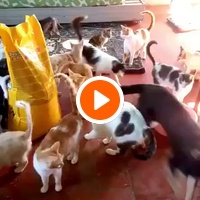 photo de livraison pour Hajar Aourz