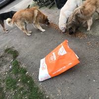 photo de livraison pour Anca Timpeanu