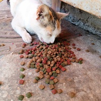 photo de livraison pour Hajar Aourz