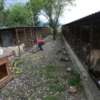 photo de livraison pour Civic Initiative Kane Korzo Skopje