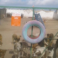 photo de livraison pour AHPPAE