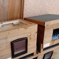 photo de livraison pour L'Arche de Ploum