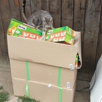 photo de livraison pour Aux Bonheurs des Aristochats