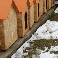 photo de livraison pour Animal Shields Oradea