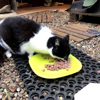 photo de livraison pour Les chats de chez nous