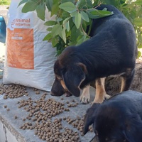 photo de livraison pour Sanctuaire de la Faune de Tanger (SFT)