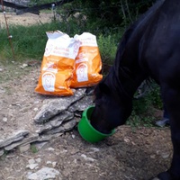 photo de livraison pour Association hippique du Caroux