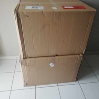 photo de livraison pour Chat L'Heureux Chat l'Ange et Cie