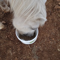 photo de livraison pour Equi-Libre : Droit à la Retraite Equine