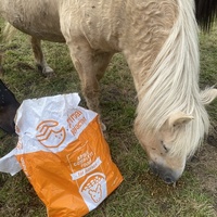 photo de livraison pour Espoir au Galop