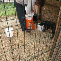 photo de livraison pour Innocente