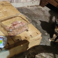 photo de livraison pour SOS Chats Libres Haut-Béarn