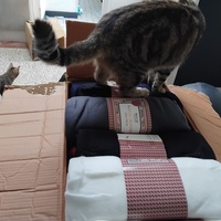 photo de livraison pour Chez Minou