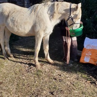 photo de livraison pour Association hippique du Caroux