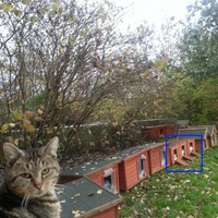 photo de livraison pour Chaperlipopette 77