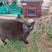 photo de livraison pour Une Maison pour la Vie