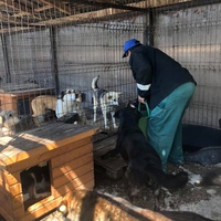 photo de livraison pour Florentina Cioaca