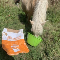 photo de livraison pour Espoir au Galop