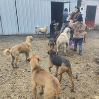 photo de livraison pour Svetlana Bjelogrlic