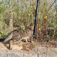 photo de livraison pour Kawthar Maree