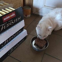 photo de livraison pour Amis de Myrtille