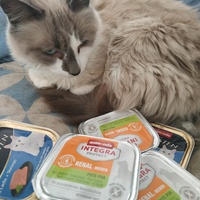 photo de livraison pour Les Pattounes de l'Espoir