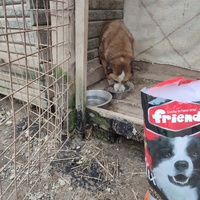 photo de livraison pour Samira Gagula