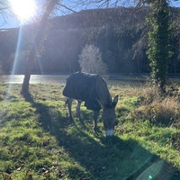 photo de livraison pour Bêle et Bête