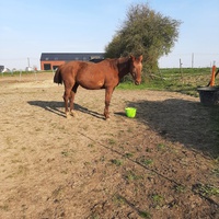 photo de livraison pour Tabula Rasa