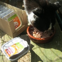 photo de livraison pour Au Bonheur des Chats Libres