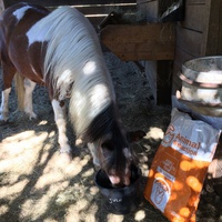photo de livraison pour Equi-Vivre