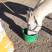 photo de livraison pour Association hippique du Caroux