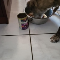 photo de livraison pour AVRAH