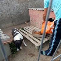 photo de livraison pour Daniela Elena Sandoiu