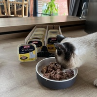 photo de livraison pour Les chats de l'Indifférence