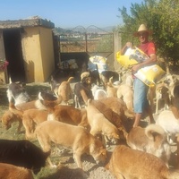 photo de livraison pour Sanctuaire de la Faune de Tanger (SFT)