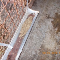 photo de livraison pour Pro Animals Finland ry