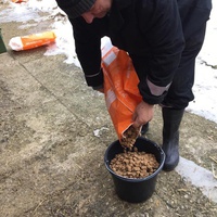 photo de livraison pour RespekTIERE Leben e.V.