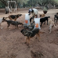 photo de livraison pour Help Adopt Moroccan Animals